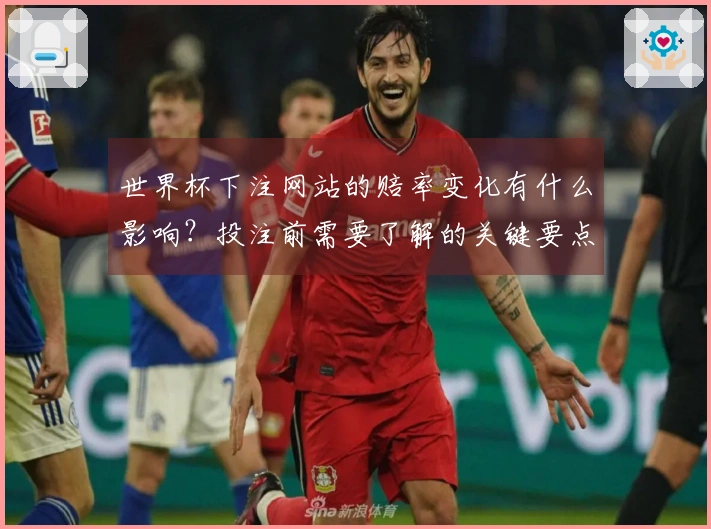 世界杯下注网站的赔率变化有什么影响?投注前需要了解的关键要点