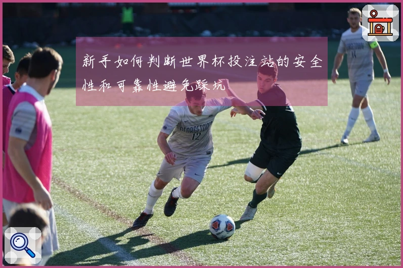 新手如何判断世界杯投注站的安全性和可靠性避免踩坑