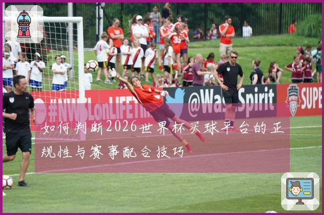 如何判断2026世界杯买球平台的正规性与赛事配合技巧