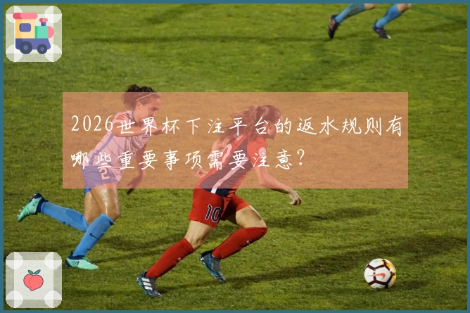 2026世界杯下注平台的返水规则有哪些重要事项需要注意？