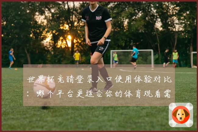 世界杯竞猜登录入口使用体验对比：哪个平台更适合你的体育观看需求？