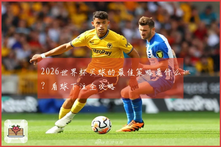 2026世界杯买球的最佳策略是什么?看球下注全攻略