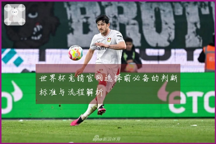 世界杯竞猜官网选择前必备的判断标准与流程解析