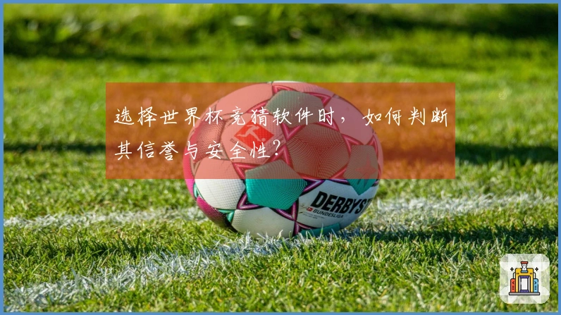 选择世界杯竞猜软件时，如何判断其信誉与安全性？