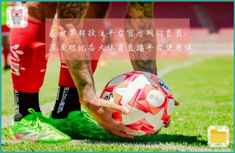 在世界杯投注平台官方网站首页，深度对比各大体育直播平台使用体验与功能优劣