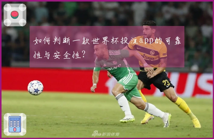 如何判断一款世界杯投注app的可靠性与安全性?