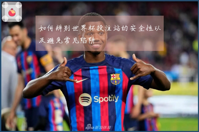 如何辨别世界杯投注站的安全性以及避免常见陷阱