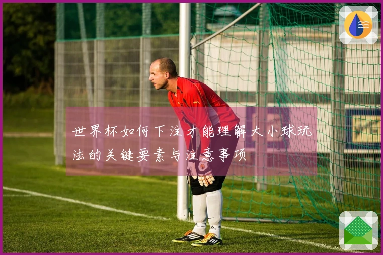 世界杯如何下注才能理解大小球玩法的关键要素与注意事项