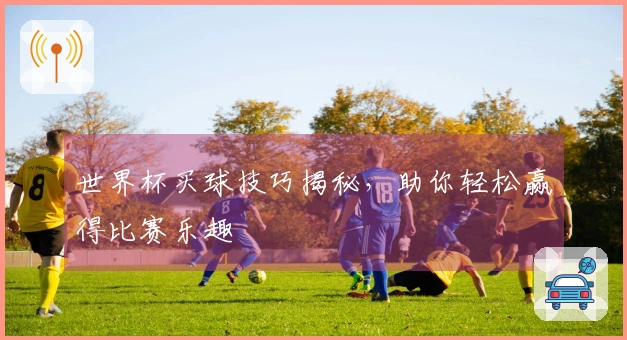 世界杯买球技巧揭秘,助你轻松赢得比赛乐趣