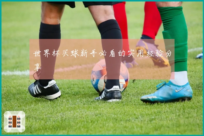 世界杯买球新手必看的实用经验分享