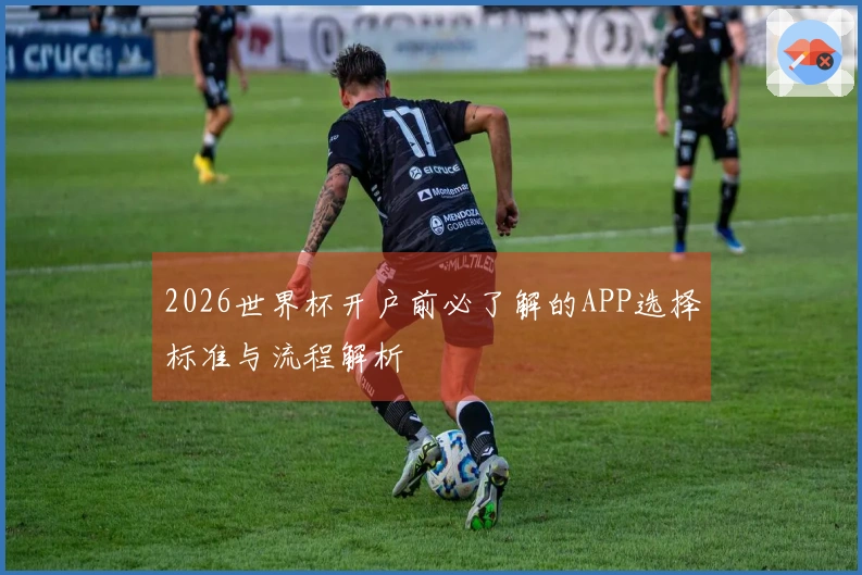 2026世界杯开户前必了解的APP选择标准与流程解析