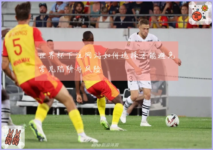 世界杯下注网站如何选择才能避免常见陷阱与风险