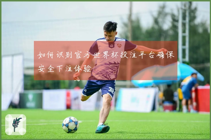如何识别官方世界杯投注平台确保安全下注体验