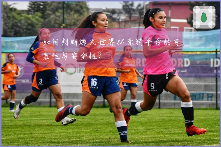 如何判断烽火世界杯竞猜平台的可靠性与安全性？