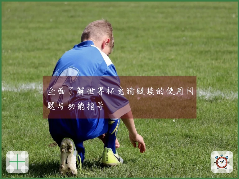 全面了解世界杯竞猜链接的使用问题与功能指导