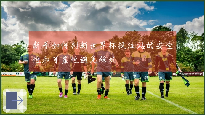 新手如何判断世界杯投注站的安全性和可靠性避免踩坑