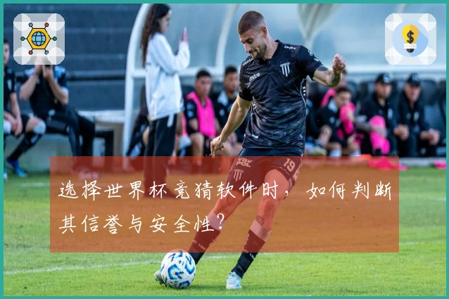 选择世界杯竞猜软件时,如何判断其信誉与安全性?