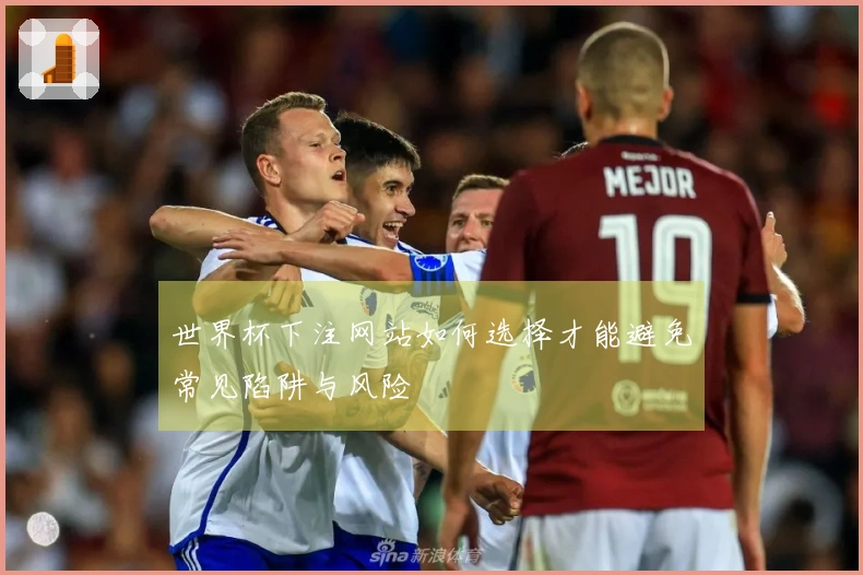世界杯下注网站如何选择才能避免常见陷阱与风险