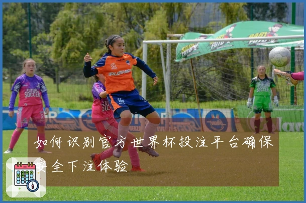如何识别官方世界杯投注平台确保安全下注体验