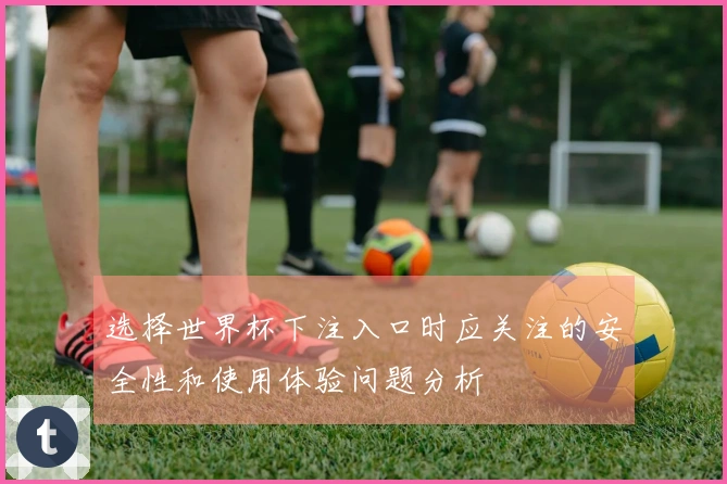 选择世界杯下注入口时应关注的安全性和使用体验问题分析