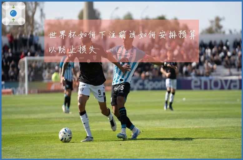 世界杯如何下注前该如何安排预算以防止损失