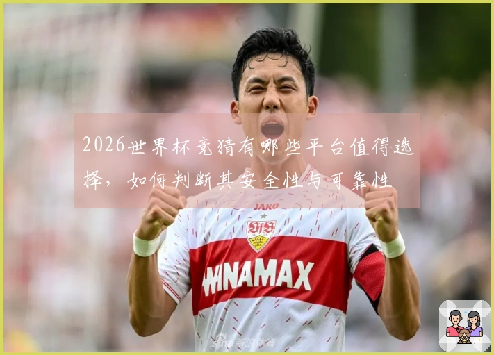 2026世界杯竞猜有哪些平台值得选择，如何判断其安全性与可靠性